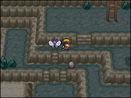 Calle Victoria en Pokémon HeartGold y SoulSilver — captura 1