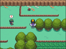 Ruta 3-4 en Pokémon HeartGold y SoulSilver — captura 2