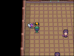 Ciudad Fucsia en Pokémon HeartGold y SoulSilver — captura 2 Ciudad Fucsia en Pokémon HeartGold y SoulSilver — captura 2