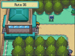Ruta 36-37 en Pokémon HeartGold y SoulSilver — captura 1 Ruta 36-37 en Pokémon HeartGold y SoulSilver — captura 1