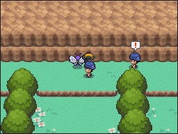 Ruta 3-4 en Pokémon HeartGold y SoulSilver — captura 1