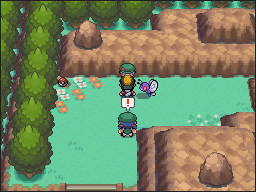 Ruta 45-46 en Pokémon HeartGold y SoulSilver — captura 2 Ruta 45-46 en Pokémon HeartGold y SoulSilver — captura 2