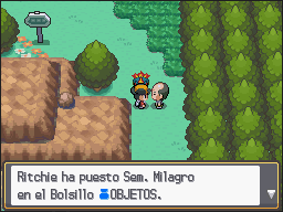 Ruta 32 en Pokémon HeartGold y SoulSilver — captura 1 Ruta 32 en Pokémon HeartGold y SoulSilver — captura 1