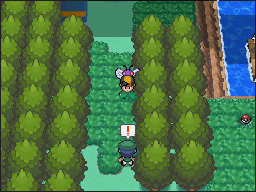 Ruta 32 en Pokémon HeartGold y SoulSilver — captura 2 Ruta 32 en Pokémon HeartGold y SoulSilver — captura 2