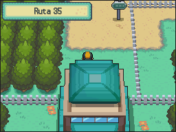 Ruta 35 en Pokémon HeartGold y SoulSilver — captura 1 Ruta 35 en Pokémon HeartGold y SoulSilver — captura 1