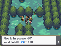 Encinar en Pokémon HeartGold y SoulSilver — captura 2 Encinar en Pokémon HeartGold y SoulSilver — captura 2