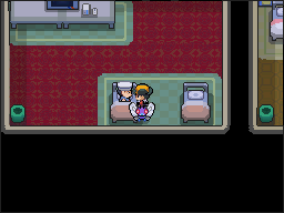 S.S Aqua en Pokémon HeartGold y SoulSilver — captura 1