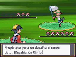 Ruta 2-1 en Pokémon HeartGold y SoulSilver — captura 1