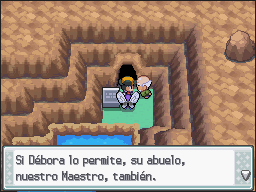 Ciudad Endrino en Pokémon HeartGold y SoulSilver — captura 2