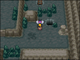 Calle Victoria en Pokémon HeartGold y SoulSilver — captura 2