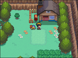 Ruta 29-30 en Pokémon HeartGold y SoulSilver — captura 1 Ruta 29-30 en Pokémon HeartGold y SoulSilver — captura 1