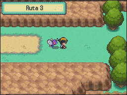 Ruta 3-4 en Pokémon HeartGold y SoulSilver — captura 2