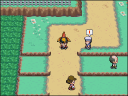Ruta 38-39 en Pokémon HeartGold y SoulSilver — captura 1