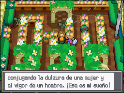 Ciudad Azulona en Pokémon HeartGold y SoulSilver — captura 2 Ciudad Azulona en Pokémon HeartGold y SoulSilver — captura 2