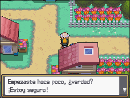 Ruta 29-30 en Pokémon HeartGold y SoulSilver — captura 1 Ruta 29-30 en Pokémon HeartGold y SoulSilver — captura 1