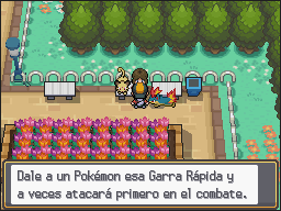 Parque Nacional en Pokémon HeartGold y SoulSilver — captura 1 Parque Nacional en Pokémon HeartGold y SoulSilver — captura 1