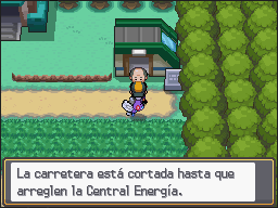 Ruta 6 en Pokémon HeartGold y SoulSilver — captura 1