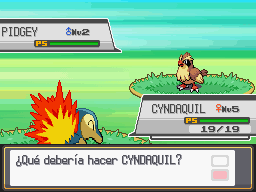 Ruta 29-30 en Pokémon HeartGold y SoulSilver — captura 2 Ruta 29-30 en Pokémon HeartGold y SoulSilver — captura 2