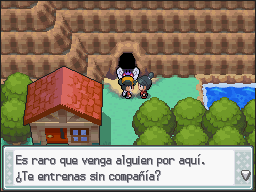 Ruta 27-26 en Pokémon HeartGold y SoulSilver — captura 1