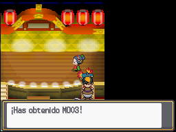 Ciudad Iris en Pokémon HeartGold y SoulSilver — captura 2 Ciudad Iris en Pokémon HeartGold y SoulSilver — captura 2
