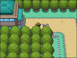 Ruta 12-15 en Pokémon HeartGold y SoulSilver — captura 2