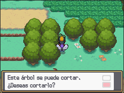 Ruta 12-15 en Pokémon HeartGold y SoulSilver — captura 2