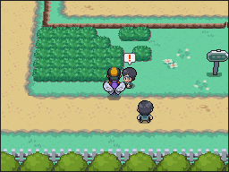 Ruta 12-15 en Pokémon HeartGold y SoulSilver — captura 1
