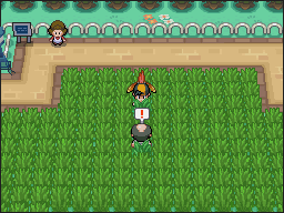Parque Nacional en Pokémon HeartGold y SoulSilver — captura 1 Parque Nacional en Pokémon HeartGold y SoulSilver — captura 1