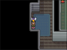 S.S Aqua en Pokémon HeartGold y SoulSilver — captura 1