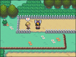 Ruta 38-39 en Pokémon HeartGold y SoulSilver — captura 2