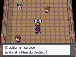 Ciudad Fucsia en Pokémon HeartGold y SoulSilver — captura 1 Ciudad Fucsia en Pokémon HeartGold y SoulSilver — captura 1