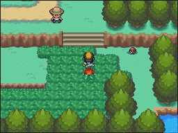 Ruta 29-30 en Pokémon HeartGold y SoulSilver — captura 1 Ruta 29-30 en Pokémon HeartGold y SoulSilver — captura 1