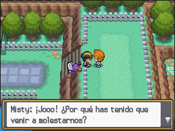 Ruta 24-25 en Pokémon HeartGold y SoulSilver — captura 2