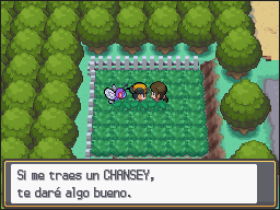 Ruta 12-15 en Pokémon HeartGold y SoulSilver — captura 2