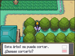 Ciudad Plateada en Pokémon HeartGold y SoulSilver — captura 1 Ciudad Plateada en Pokémon HeartGold y SoulSilver — captura 1