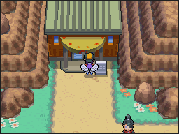 Ruta 27-26 en Pokémon HeartGold y SoulSilver — captura 2