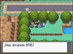 Pueblo Paleta en Pokémon HeartGold y SoulSilver — captura 2