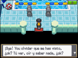 Ruta 9 en Pokémon HeartGold y SoulSilver — captura 2 Ruta 9 en Pokémon HeartGold y SoulSilver — captura 2