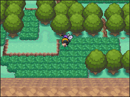 Pueblo Paleta en Pokémon HeartGold y SoulSilver — captura 3