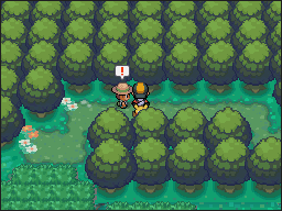 Ruta 2-1 en Pokémon HeartGold y SoulSilver — captura 2