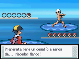 Ruta 40-41 en Pokémon HeartGold y SoulSilver — captura 1