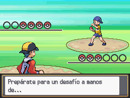 Ruta 34 en Pokémon HeartGold y SoulSilver — captura 2