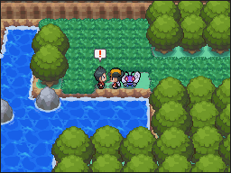 Ruta 27-26 en Pokémon HeartGold y SoulSilver — captura 1