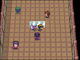 Ciudad Fucsia en Pokémon HeartGold y SoulSilver — captura 2 Ciudad Fucsia en Pokémon HeartGold y SoulSilver — captura 2
