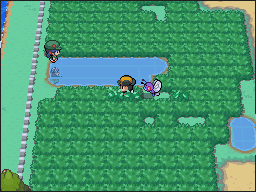 Ruta 34 en Pokémon HeartGold y SoulSilver — captura 1
