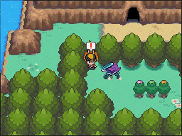 Ruta 42 en Pokémon HeartGold y SoulSilver — captura 1