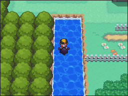 Ruta 21-20 en Pokémon HeartGold y SoulSilver — captura 2 Ruta 21-20 en Pokémon HeartGold y SoulSilver — captura 2