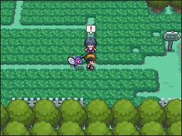 Ruta 11 en Pokémon HeartGold y SoulSilver — captura 1 Ruta 11 en Pokémon HeartGold y SoulSilver — captura 1