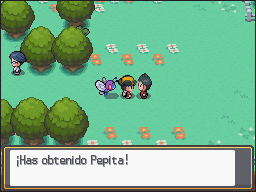 Ruta 24-25 en Pokémon HeartGold y SoulSilver — captura 2