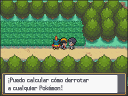Ruta 36-37 en Pokémon HeartGold y SoulSilver — captura 2 Ruta 36-37 en Pokémon HeartGold y SoulSilver — captura 2